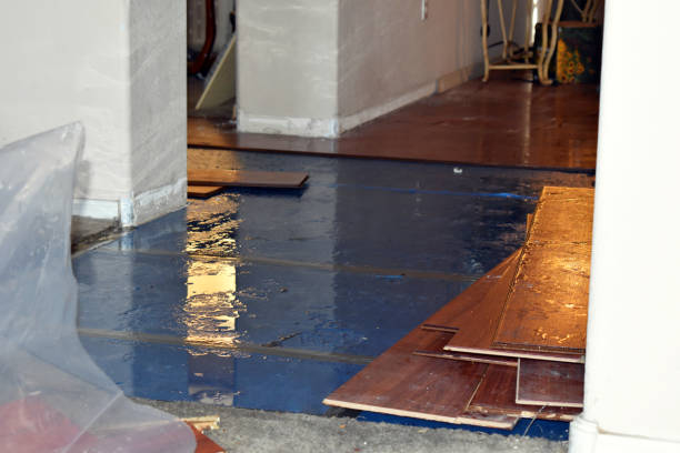 Professional Water Damage Restoration technician working in Clarksville, IN